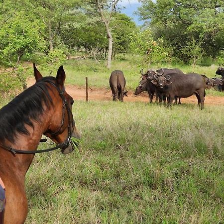 Wild Ride Safaris And Bush Camp Villa โฮดสปรูท ภายนอก รูปภาพ