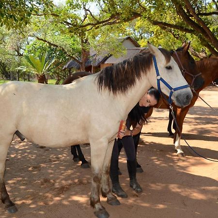 Wild Ride Safaris And Bush Camp Villa โฮดสปรูท ภายนอก รูปภาพ