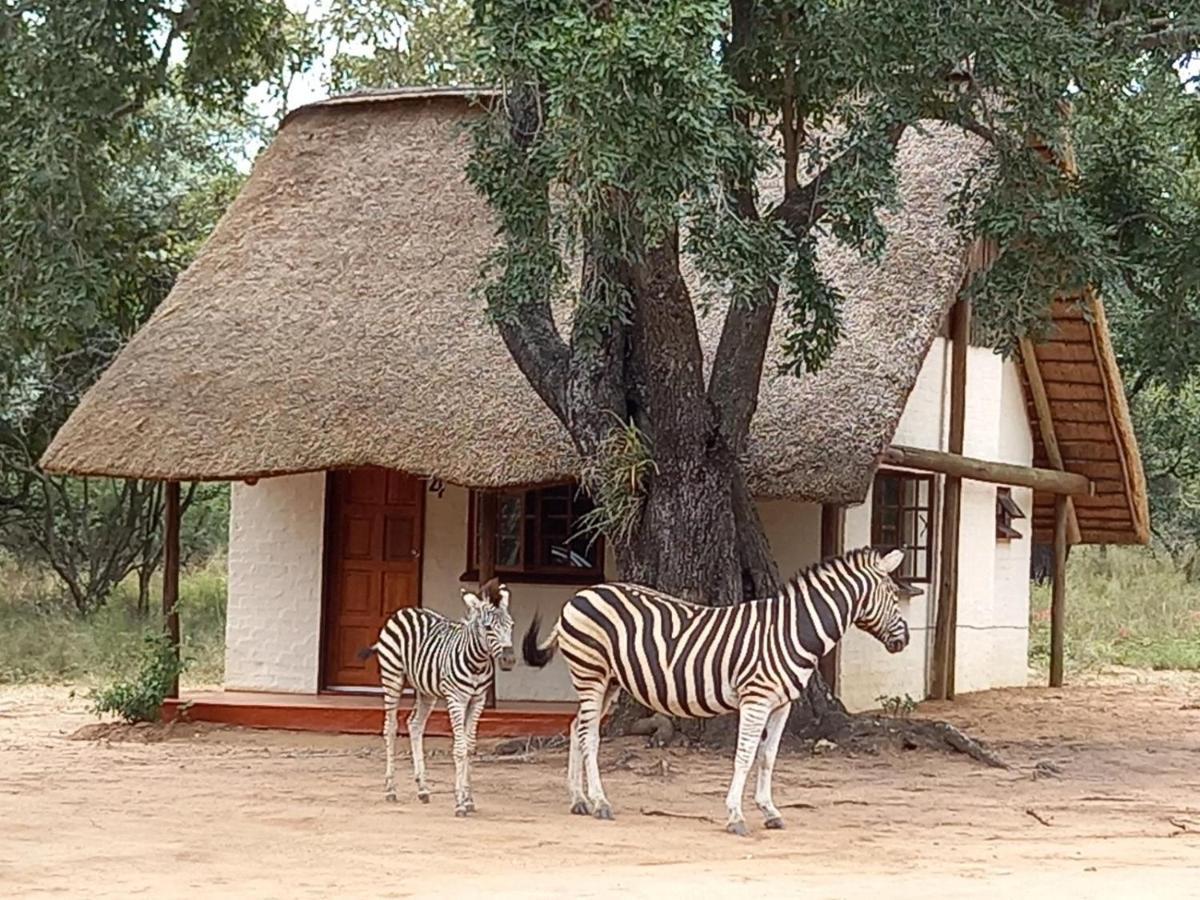 Wild Ride Safaris And Bush Camp Villa โฮดสปรูท ภายนอก รูปภาพ