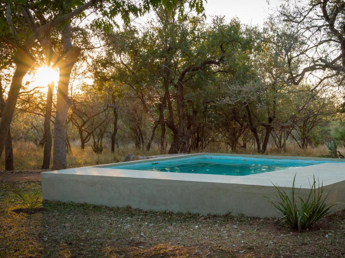 Wild Ride Safaris And Bush Camp Villa โฮดสปรูท ภายนอก รูปภาพ