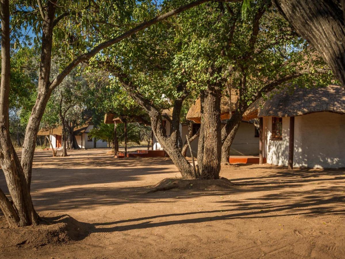 Wild Ride Safaris And Bush Camp Villa โฮดสปรูท ภายนอก รูปภาพ
