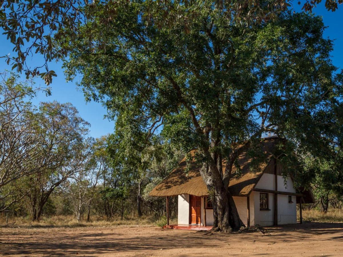 Wild Ride Safaris And Bush Camp Villa โฮดสปรูท ภายนอก รูปภาพ