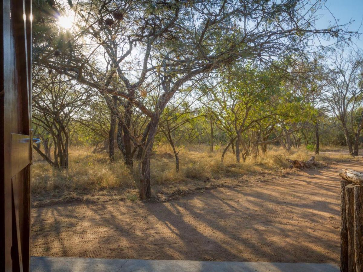 Wild Ride Safaris And Bush Camp Villa โฮดสปรูท ภายนอก รูปภาพ