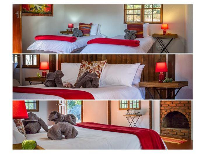 Wild Ride Safaris And Bush Camp Villa โฮดสปรูท ภายนอก รูปภาพ