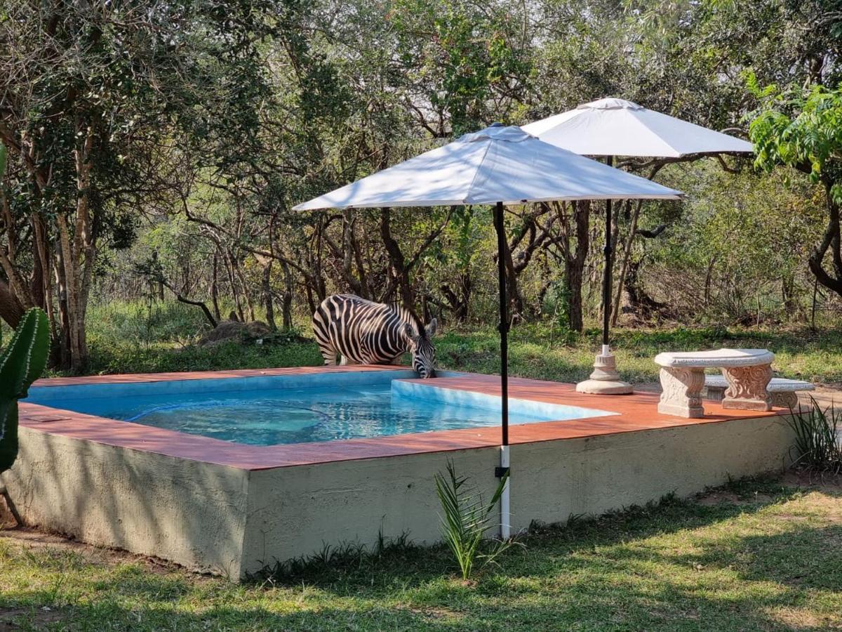 Wild Ride Safaris And Bush Camp Villa โฮดสปรูท ภายนอก รูปภาพ