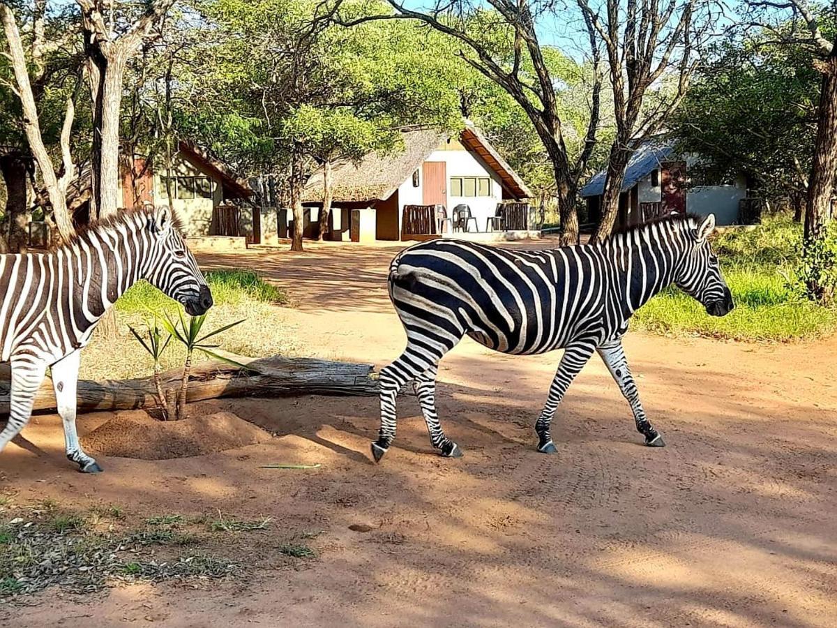 Wild Ride Safaris And Bush Camp Villa โฮดสปรูท ภายนอก รูปภาพ