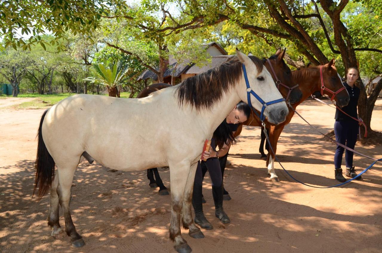 Wild Ride Safaris And Bush Camp Villa โฮดสปรูท ภายนอก รูปภาพ