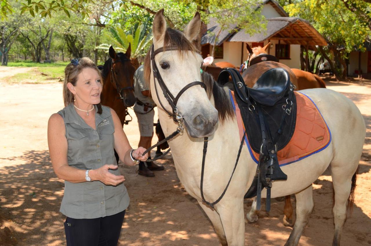 Wild Ride Safaris And Bush Camp Villa โฮดสปรูท ภายนอก รูปภาพ