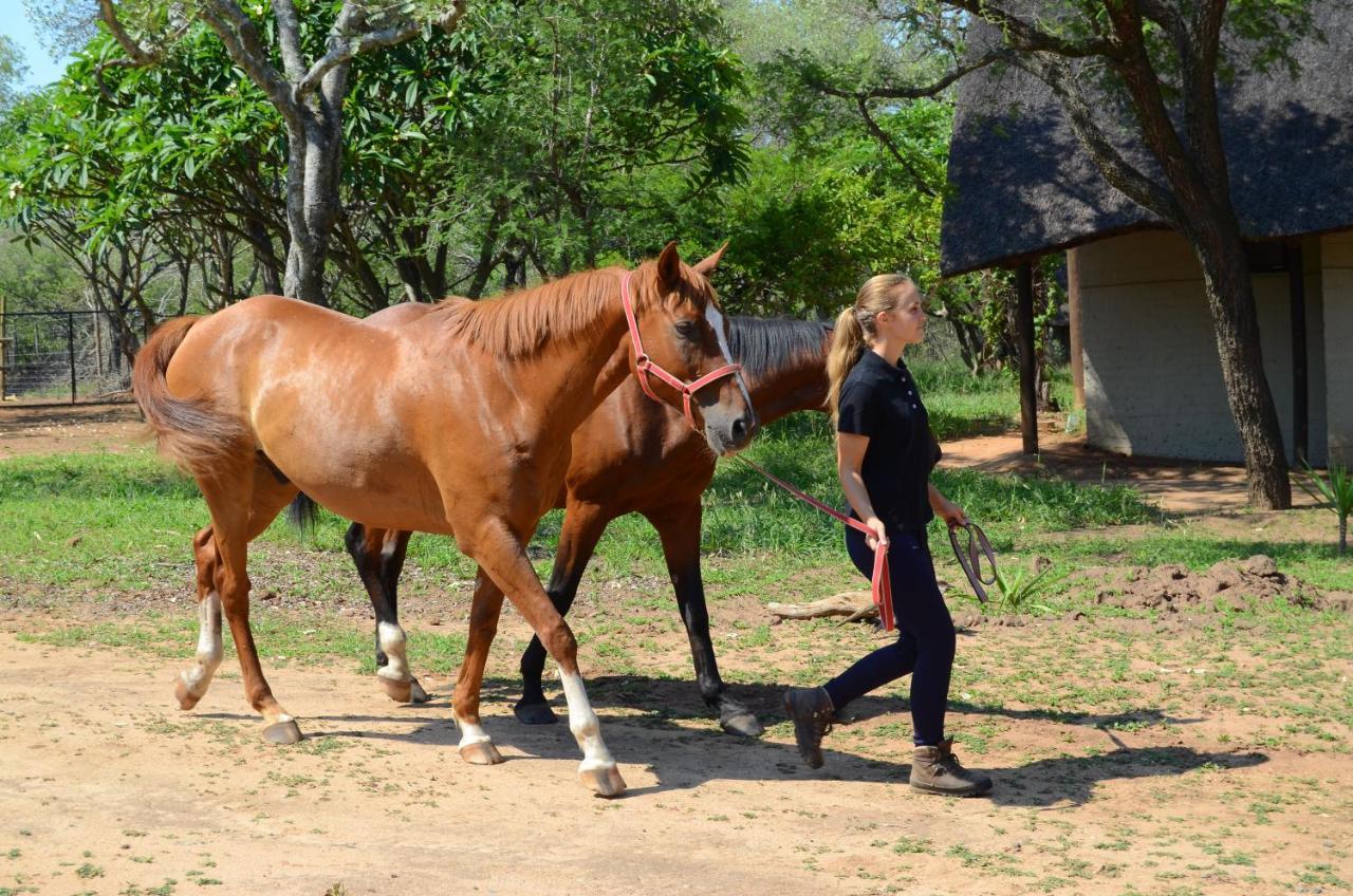 Wild Ride Safaris And Bush Camp Villa โฮดสปรูท ภายนอก รูปภาพ